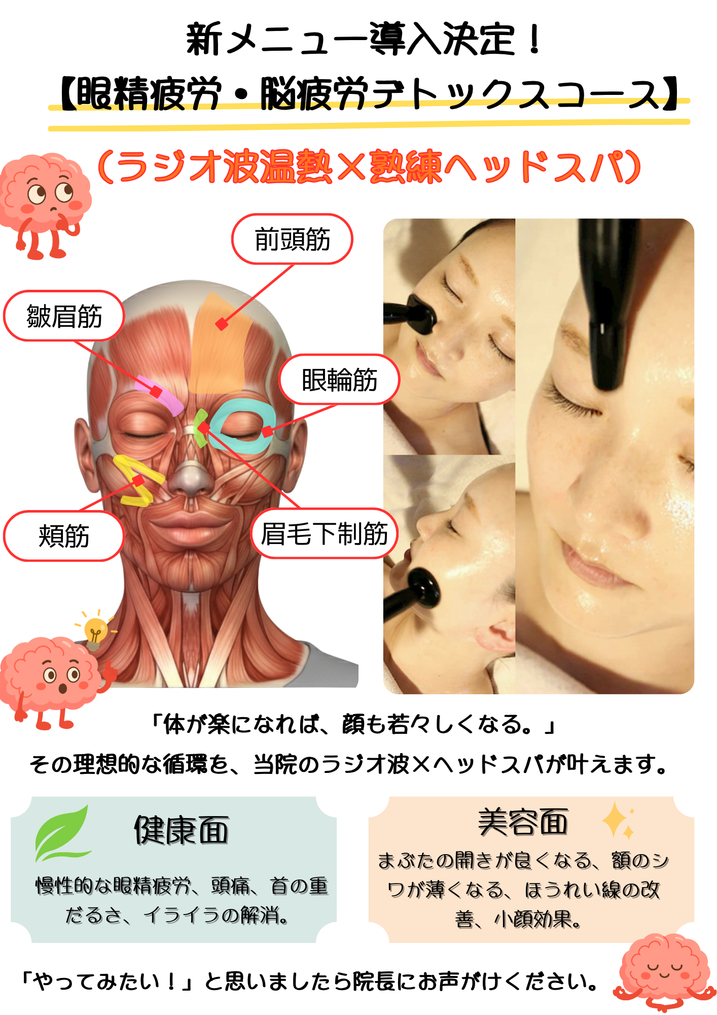 目元の筋肉図解